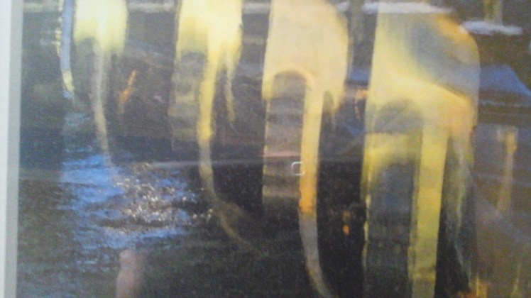 1488059308041-631359193