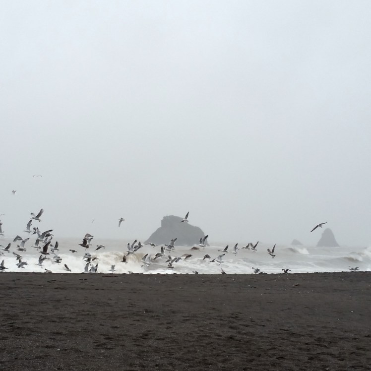 aginst-the-tide-4-170219