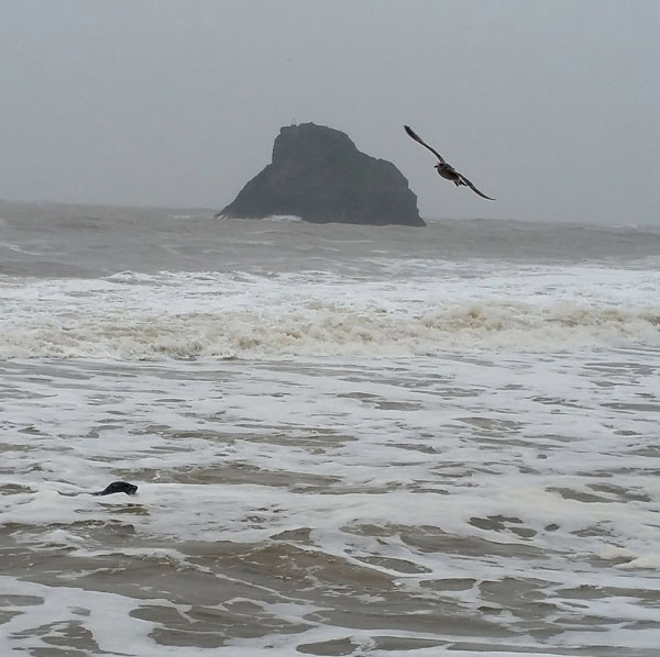 agisnt-the-tide-6-170219